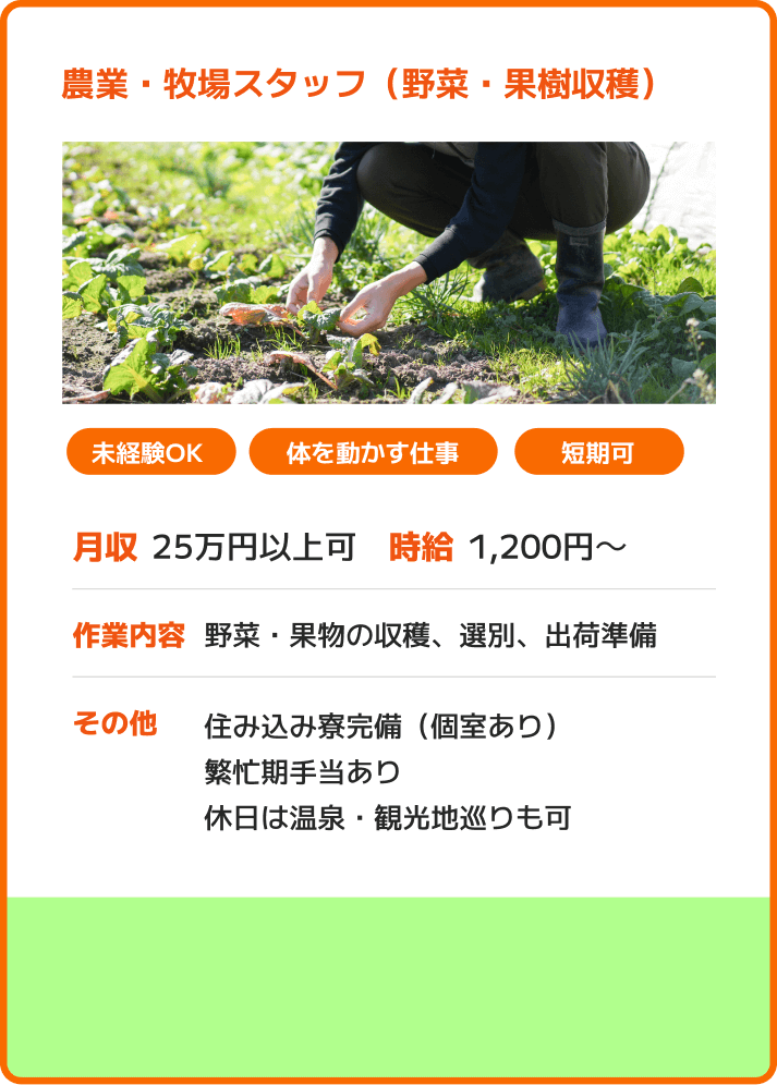 農業・牧場スタッフ（野菜・果樹収穫） 未経験OK 体を動かす仕事 短期可 月収：25万円以上可 時給：1,200円～ 作業内容：野菜・果物の収穫、選別、出荷準備 その他：住み込み寮完備（個室あり）繁忙期手当あり休日は温泉・観光地巡りも可